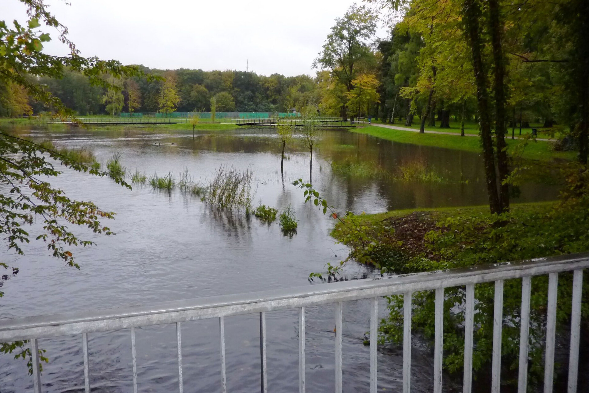 Klimaschutz ist auch Hochwasserschutz