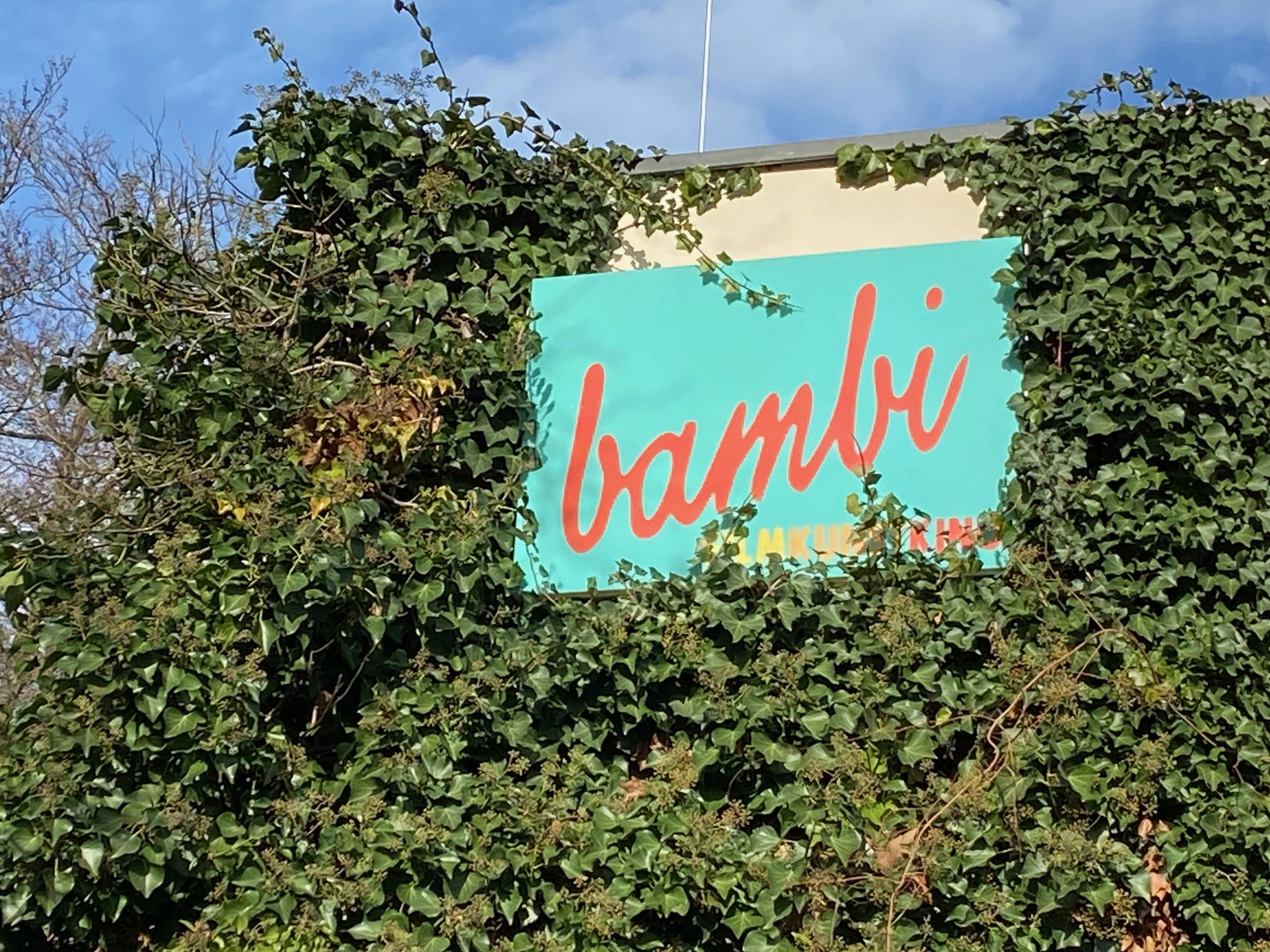 Dann passiert das Leben