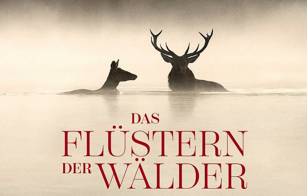 Das Flüstern der Wälder