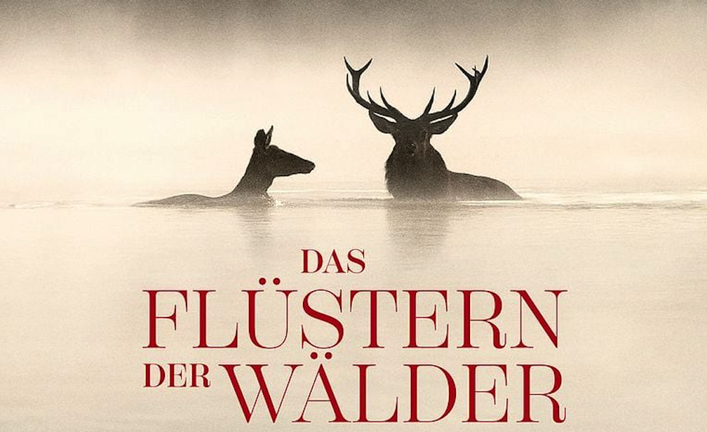 Das Flüstern der Wälder