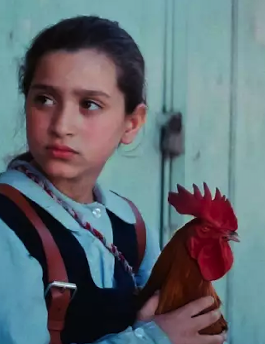 Ein Kuchen für den Präsidenten