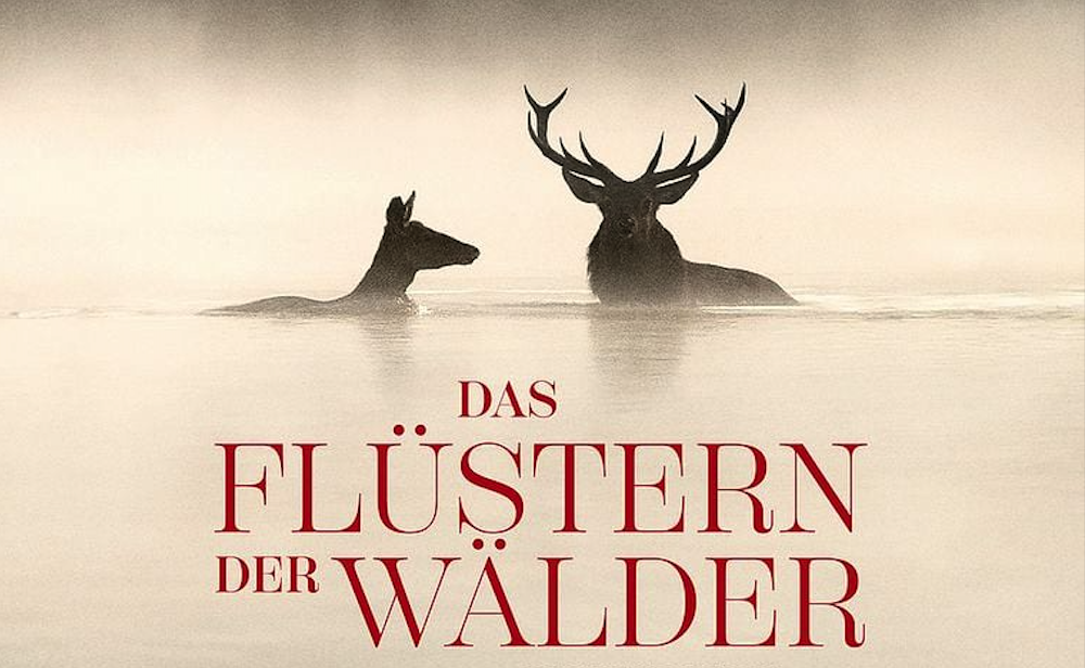 Das Flüstern der Wälder