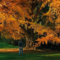 GEW: Silent Friend