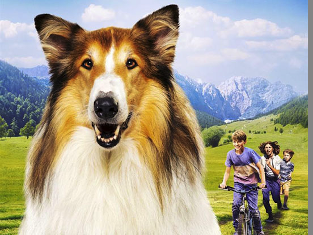 AK Asyl: Lassie 2 – Ein neues Abenteuer